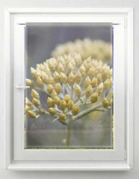 Scheibenhänger Helichrysum rechteckig